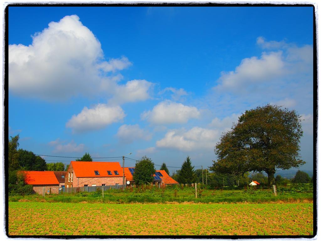 Archipel Holiday Cottage Ellezelles Rom bilde