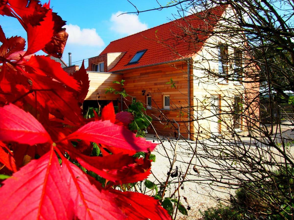 Archipel Holiday Cottage Ellezelles Eksteriør bilde
